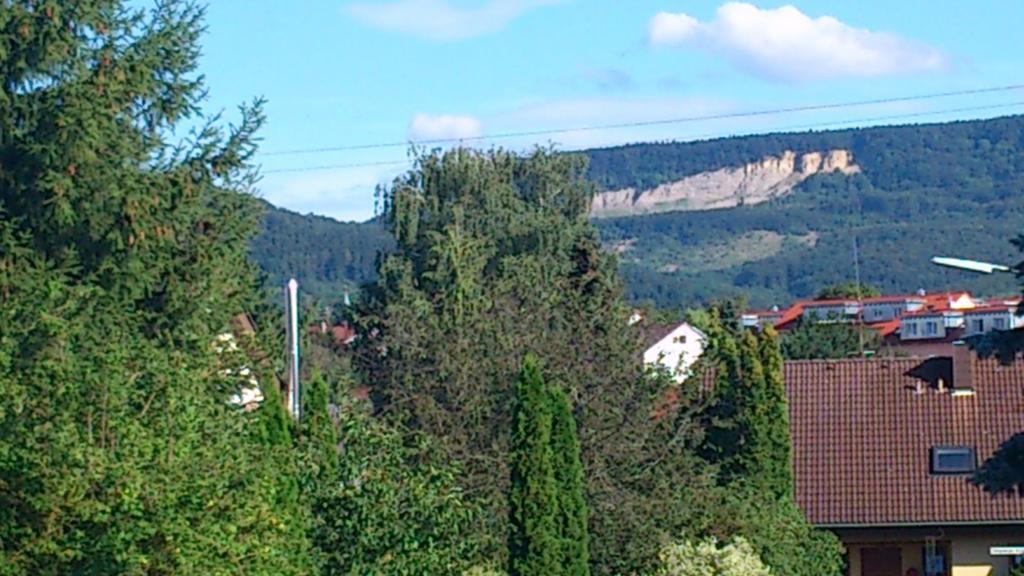 Apartment Bambusgarten